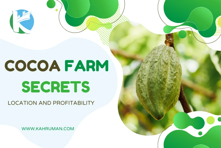 Cocoa Farms: The Sweet Secrets of Location and Profitability