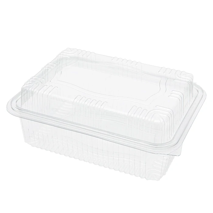 Disposable Containers - Don’t miss out best Turkish supplier