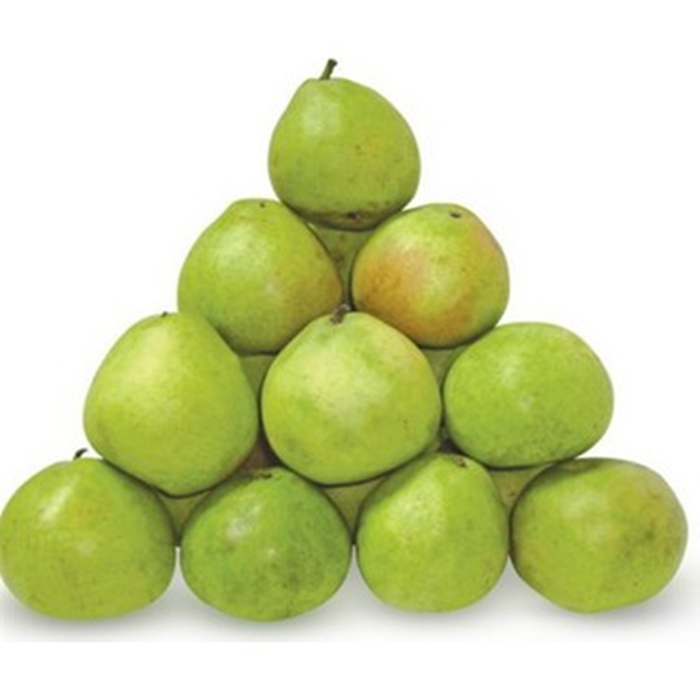 Turkish Distributor for Organic Ankara Pears