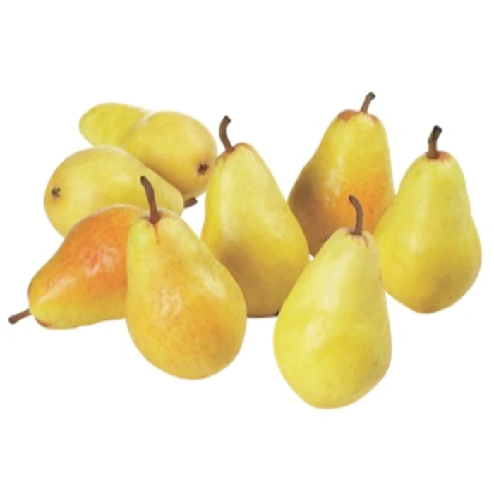 Turkish Suppliers for Coscia Pear
