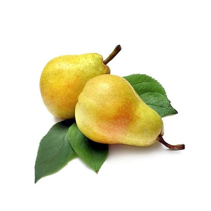 Turkish Supplier for Williams Pear - Tasty Barlette Pears
