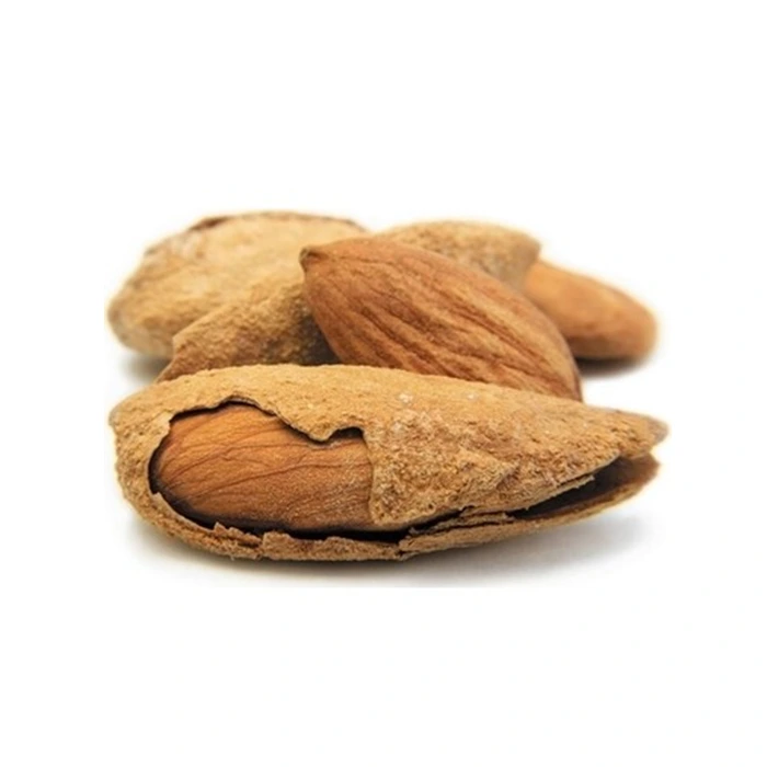 Turkish Ferraduel Almond Wholesaler - Large Almond Nuts 