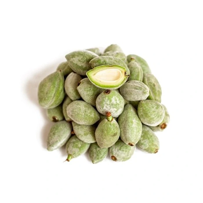 Freshly-Picked Texas Almond - Green Almonds Supplier 