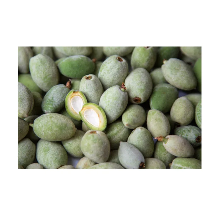 Freshly-Picked Texas Almond - Green Almonds Supplier 