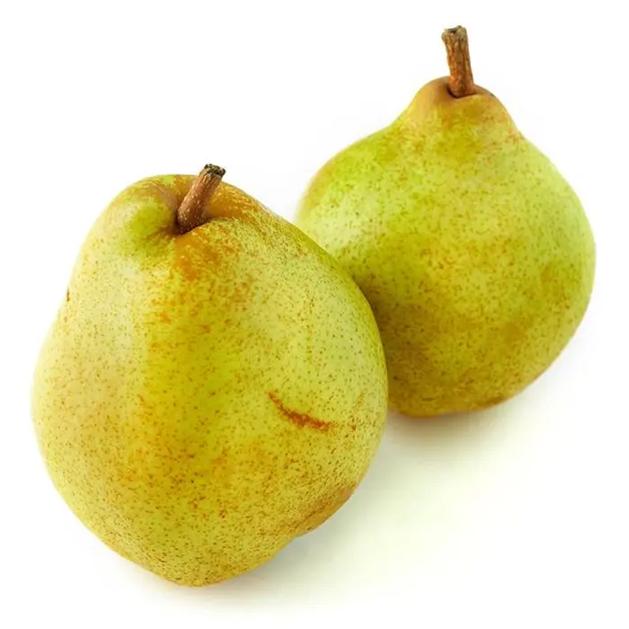 Large and Fresh Comice Pears Supplier in Türkiye