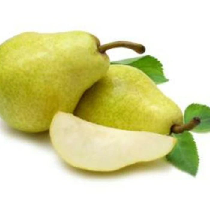 Large, Mild Sweet Kieffer Pear Supplies - Turkish-Produced