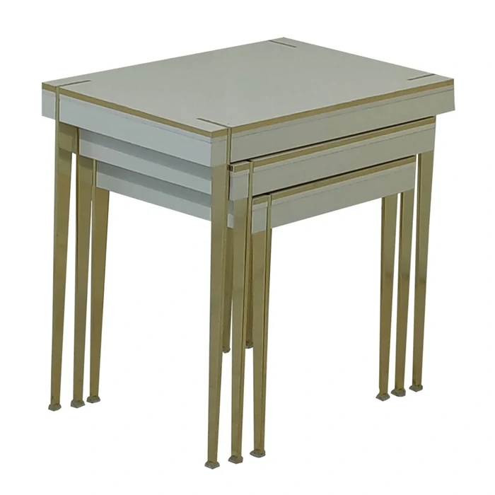 Asil Gold Nesting Coffee Table – Elegant and Versatile